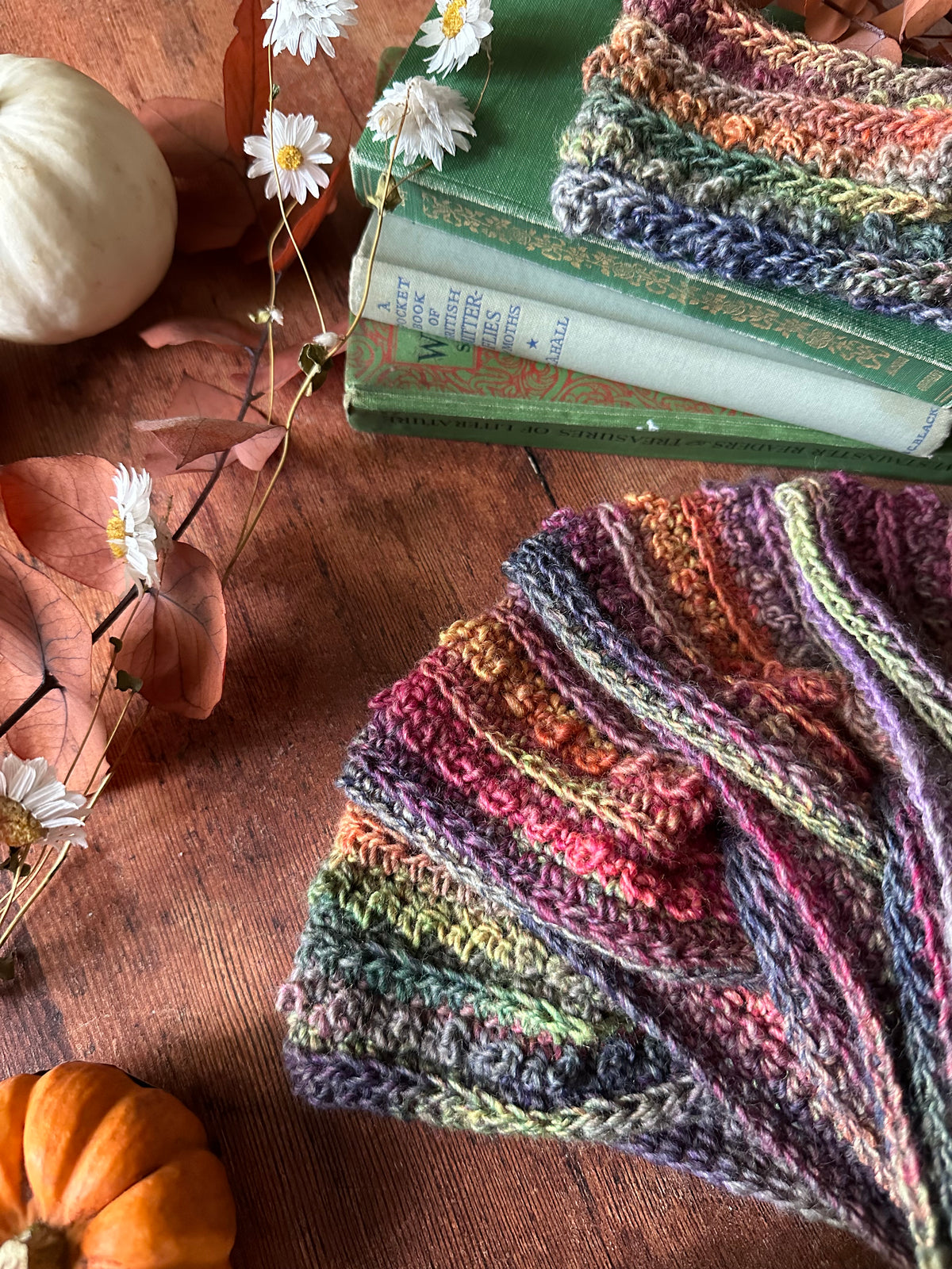 Rainbow Picot Headwarmer